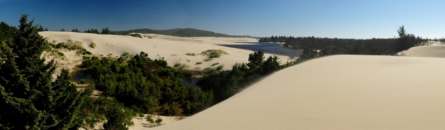 Oregon Dunes
